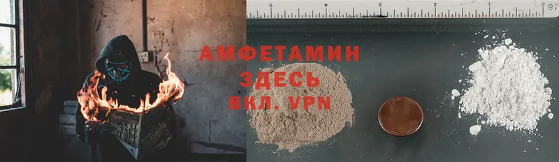 Amphetamine Premium  Шумерля 